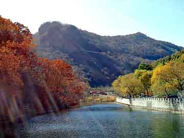 岛国一区视频，酒店彩绘